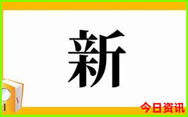 2025生肖49码表最新版本